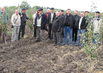 Modernizacija poljoprivrede u Moldaviji